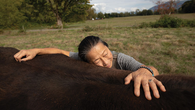 woman hugging cow