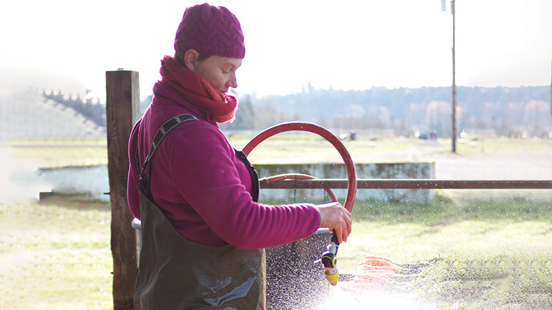 Spraying down carrots