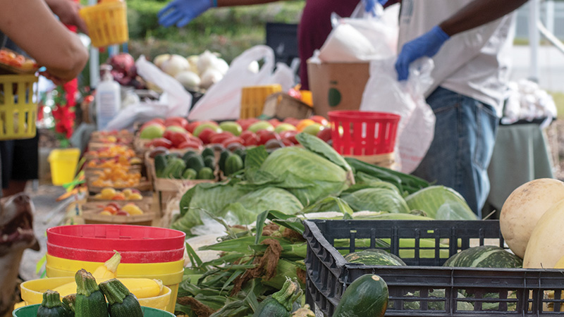 Rachel Zoe visits the farmers market with her family