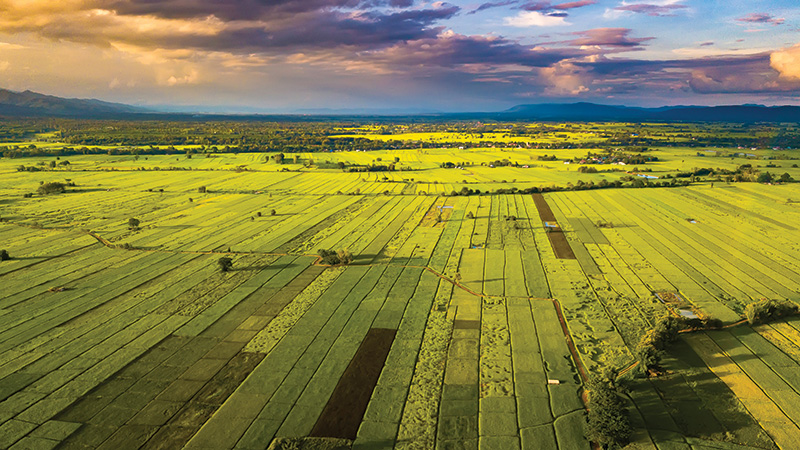 Regenerative agriculture