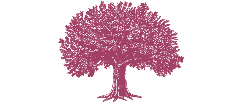tree illustration