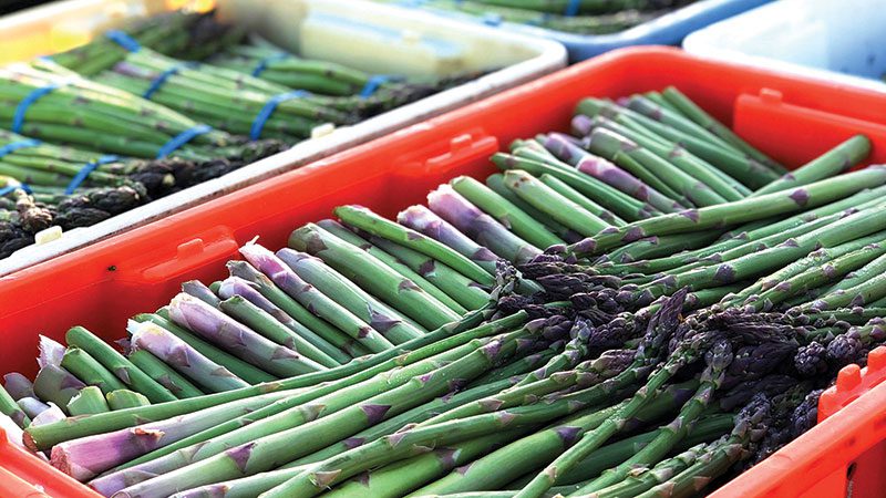 Royal Produce Asparagus