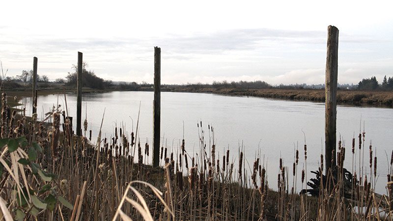Qwuloolt estuary