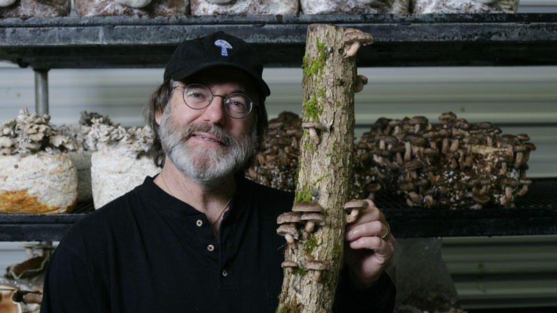 Host Defense Mushrooms