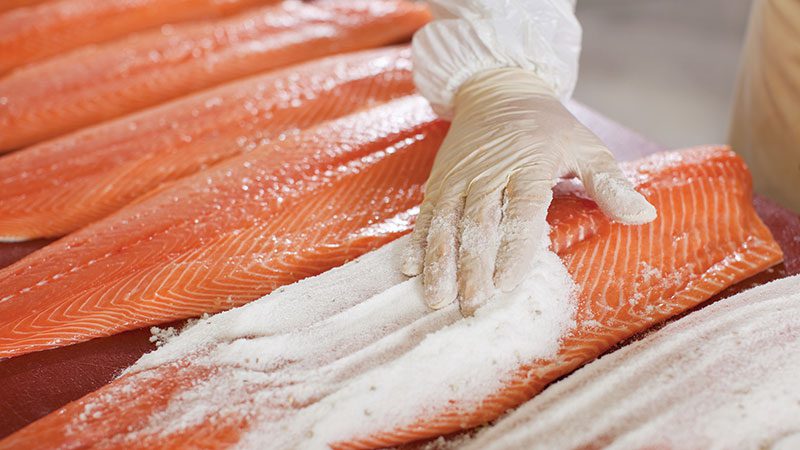 Fish processing factory