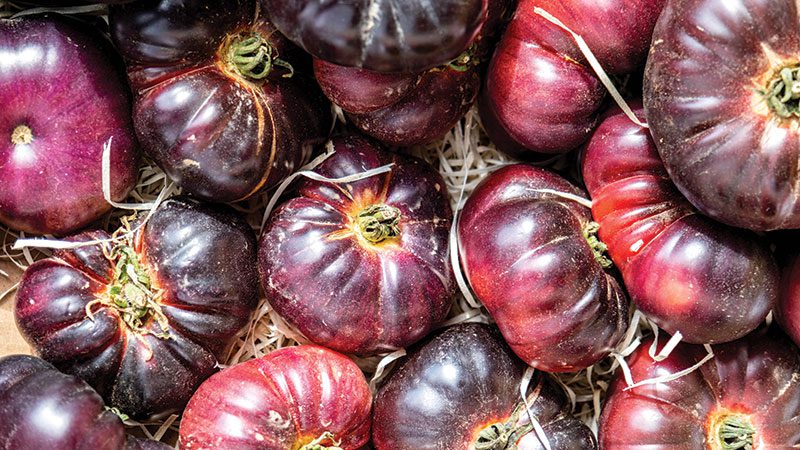 Cherokee Purple heirloom tomatoes