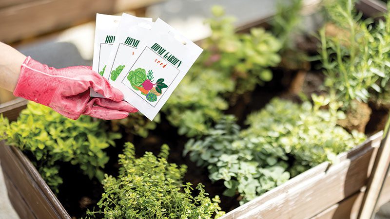 Generic seed packets