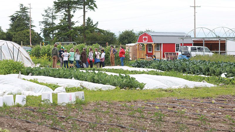 Kids at a farm