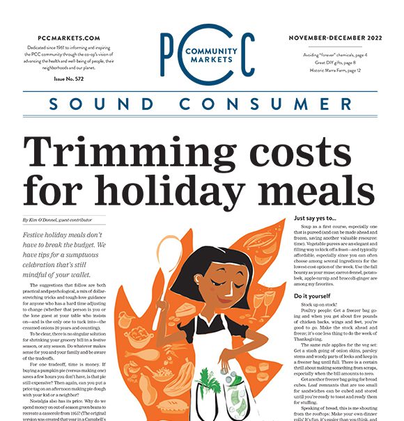 Cover of the Nov-Dec 2022 Sound Consumer
