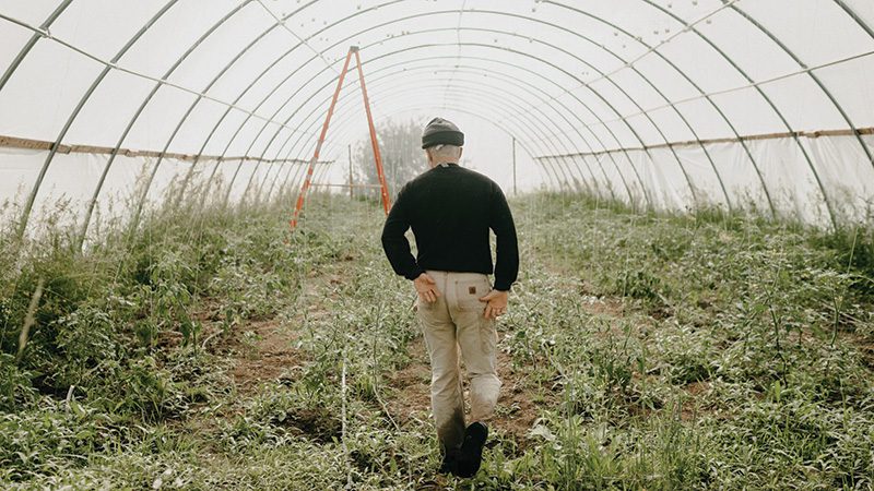 Pink Moon Farm