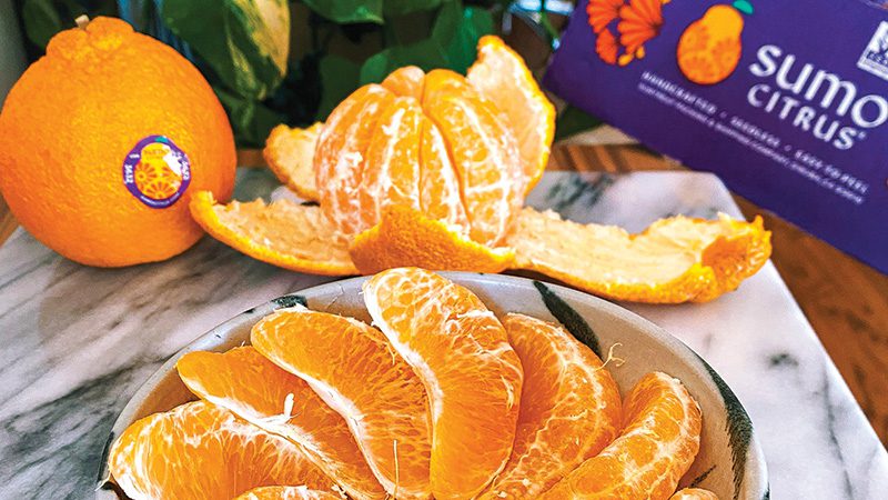 The Sumo orange is a new citrus star