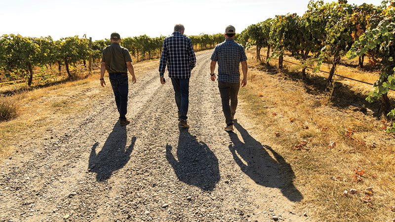 Men walking in vineyard