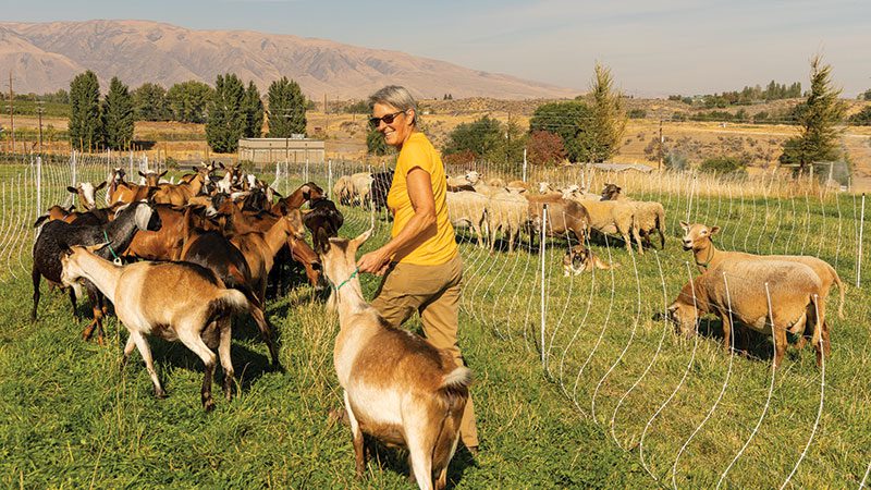 Ruth oversees the animals and vegetables