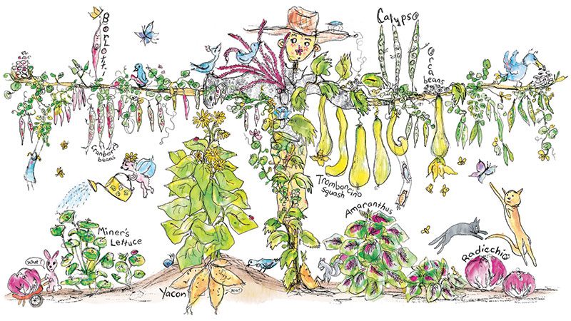 Wendy Wahman garden illustration