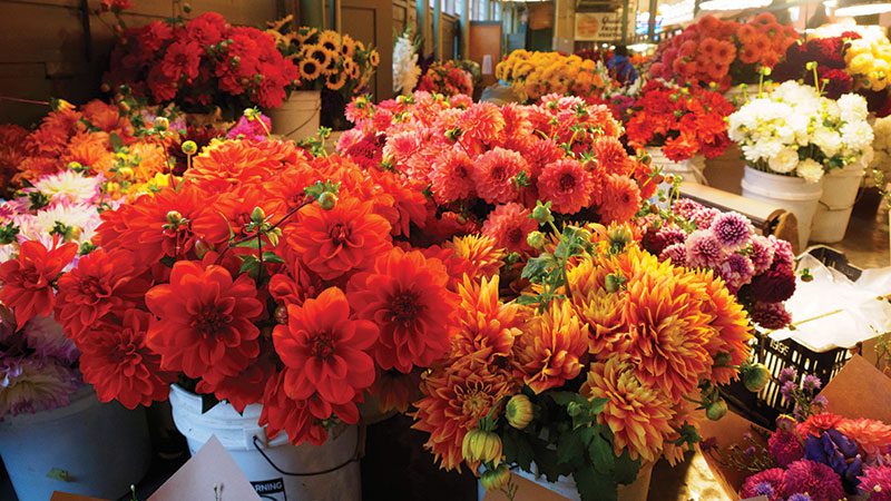 PPM Flowers