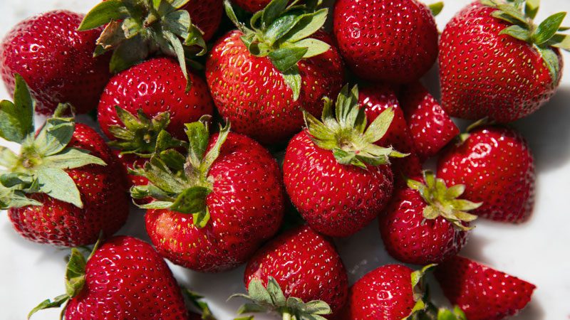 Rents Due Ranch Organic Strawberries
