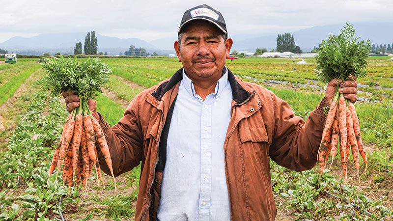 Viva Farms