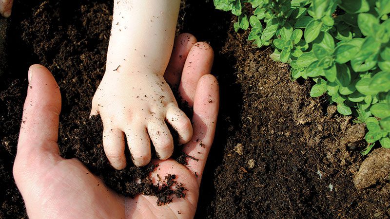 child's hand in soil