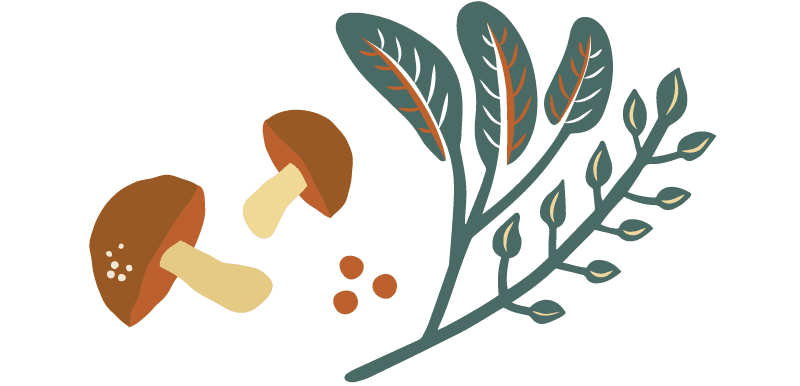 herb bundle illustration