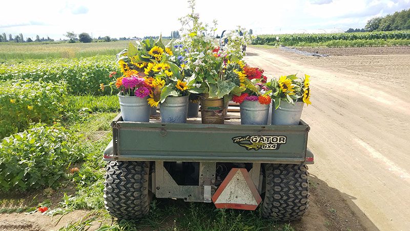 Viva Farms food and flowers loaded on the bed of a truck.