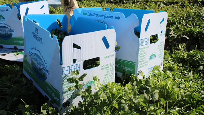 Produce delivery box