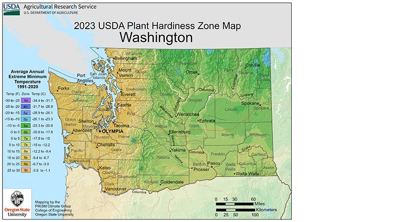 WA GardenZone map from the USDA