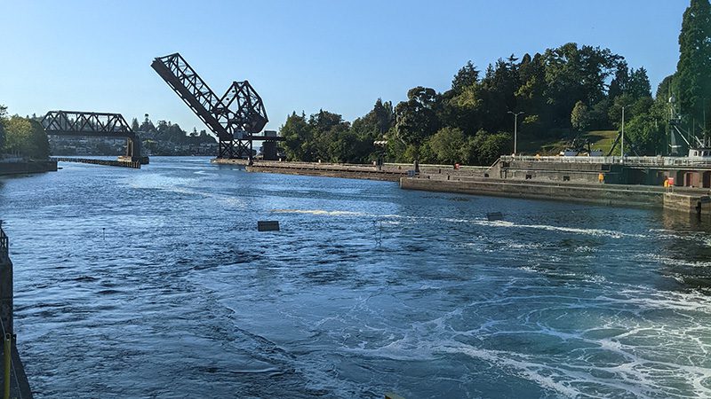 Ballard Locks Salmon ladder