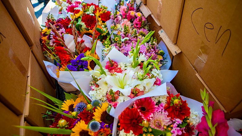 Pretty flowers