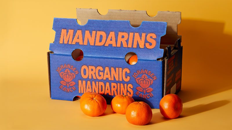 Boxed Satsumas