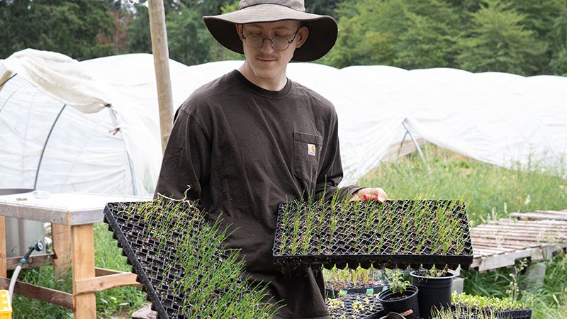 Seed starters at the Tian Tian farm.
