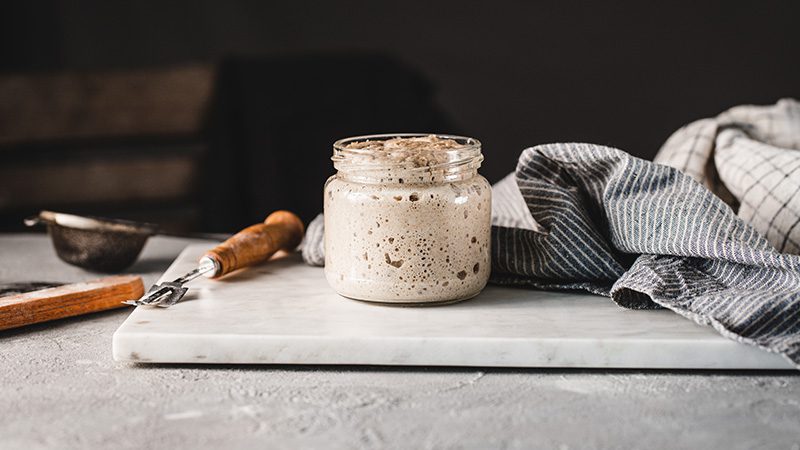 Sourdough starter
