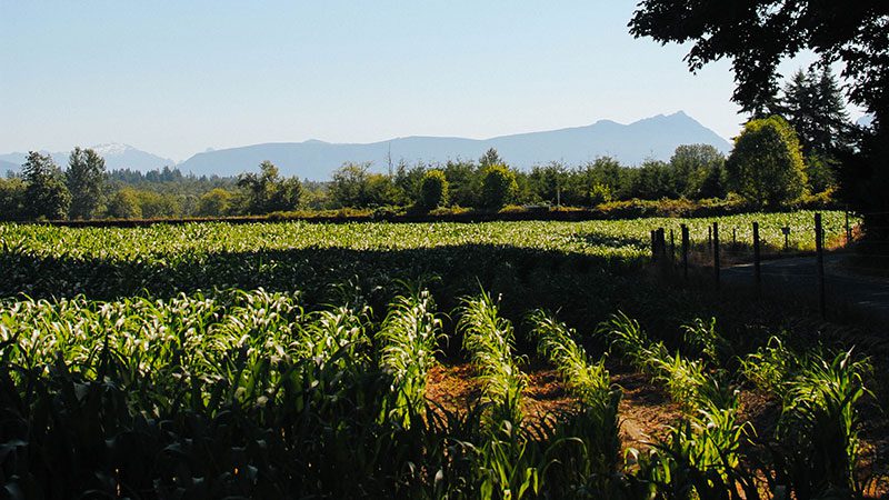 WA Farmland Trust