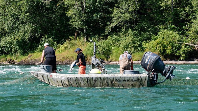Lummi Island Wild's Baker River Salmon