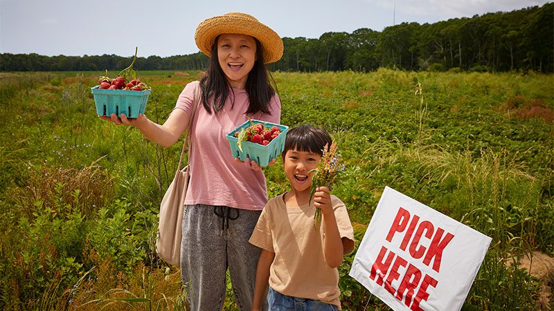 U-pick farms
