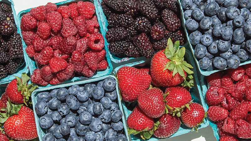 Multiple pints of berries