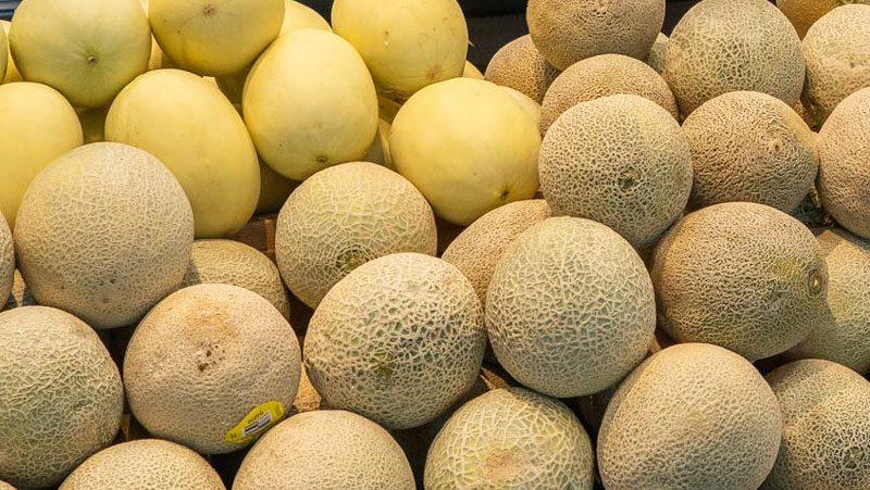 Melons