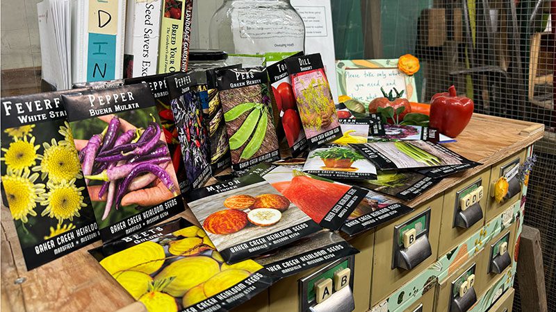 Tilth seed saving library