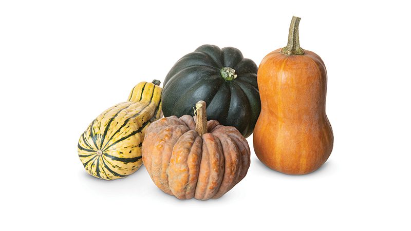 Organic Local Winter Squash