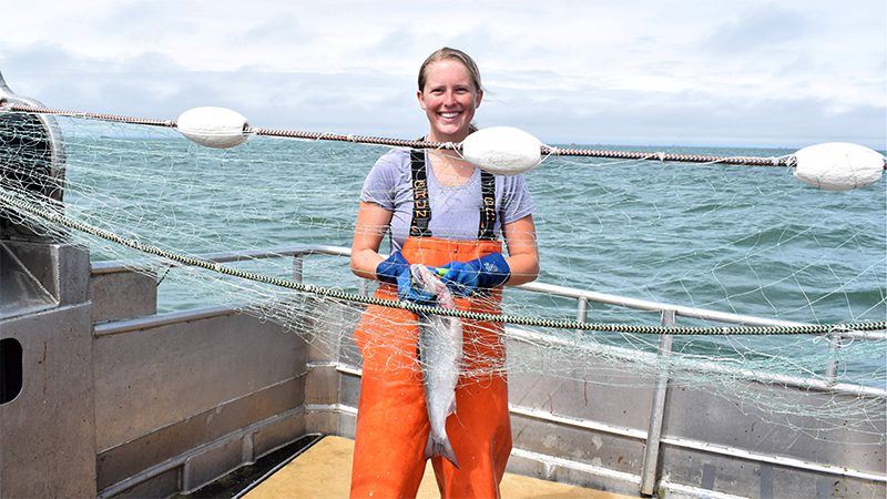 Wild Bay Seafood Company