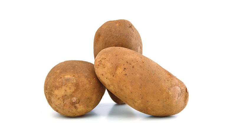 Russet potato