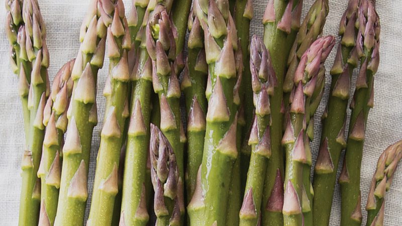 Pacific Northwest Spring Celebration