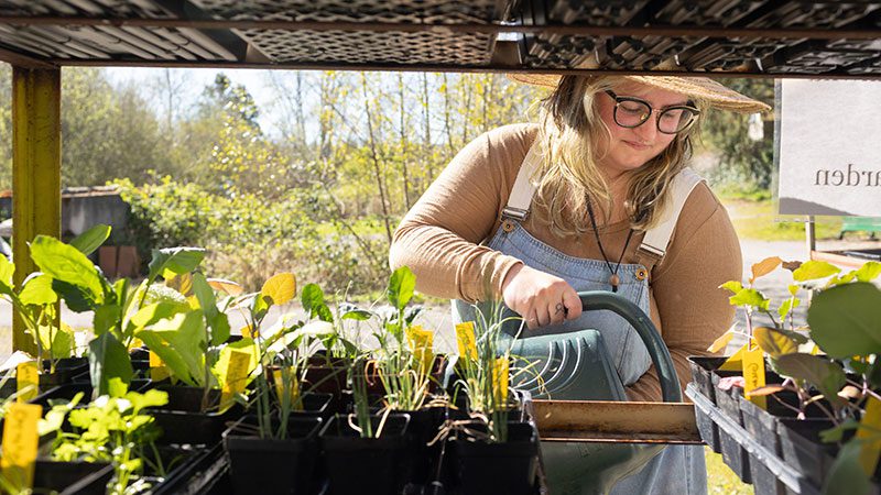 Sharing the Harvest: Global Crops Take Root in Seattle