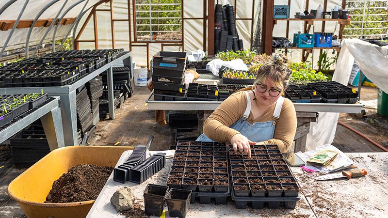 woman tending plant starts