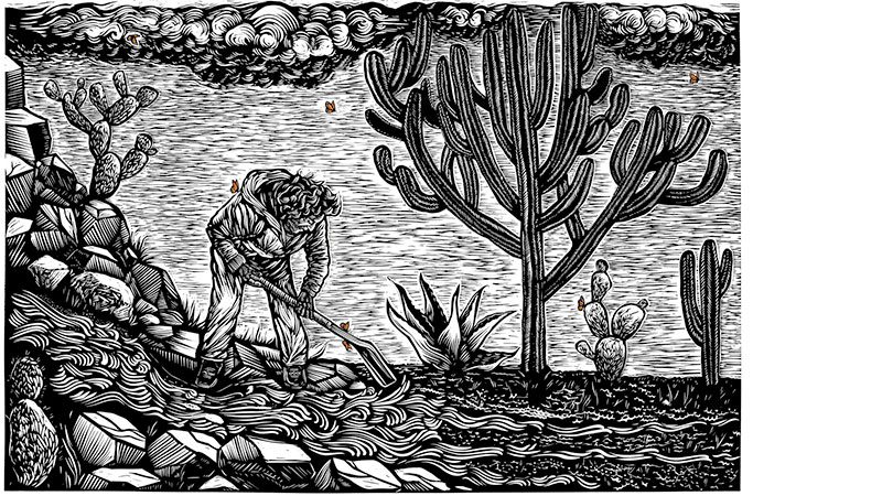 An illustration by Christie Tirado titled, 'Moviendo Agua'