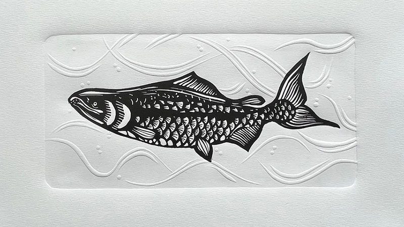 An illustration by Christie Tirado titled 'Yakima Chinook'