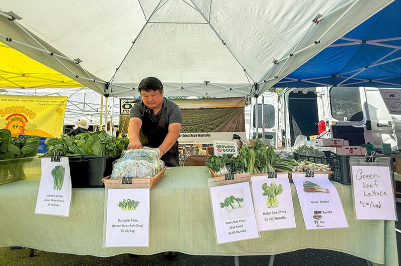 man tending a farmers market stand