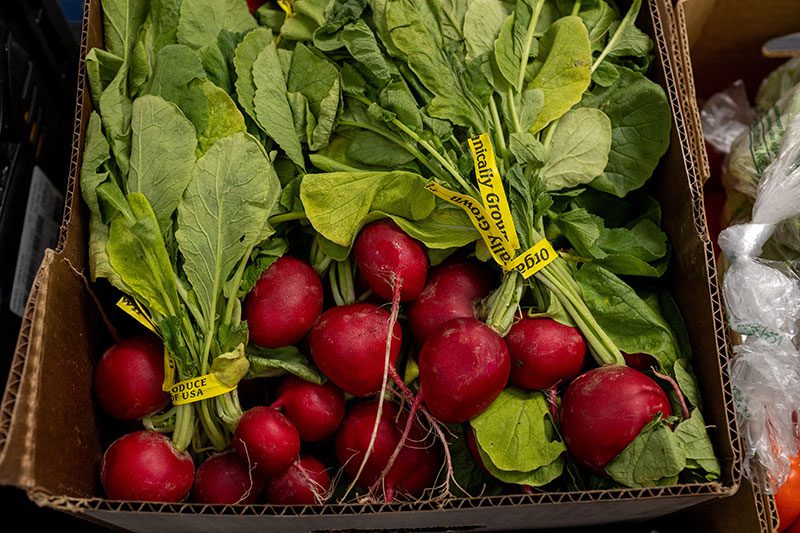 bright radishes in a box